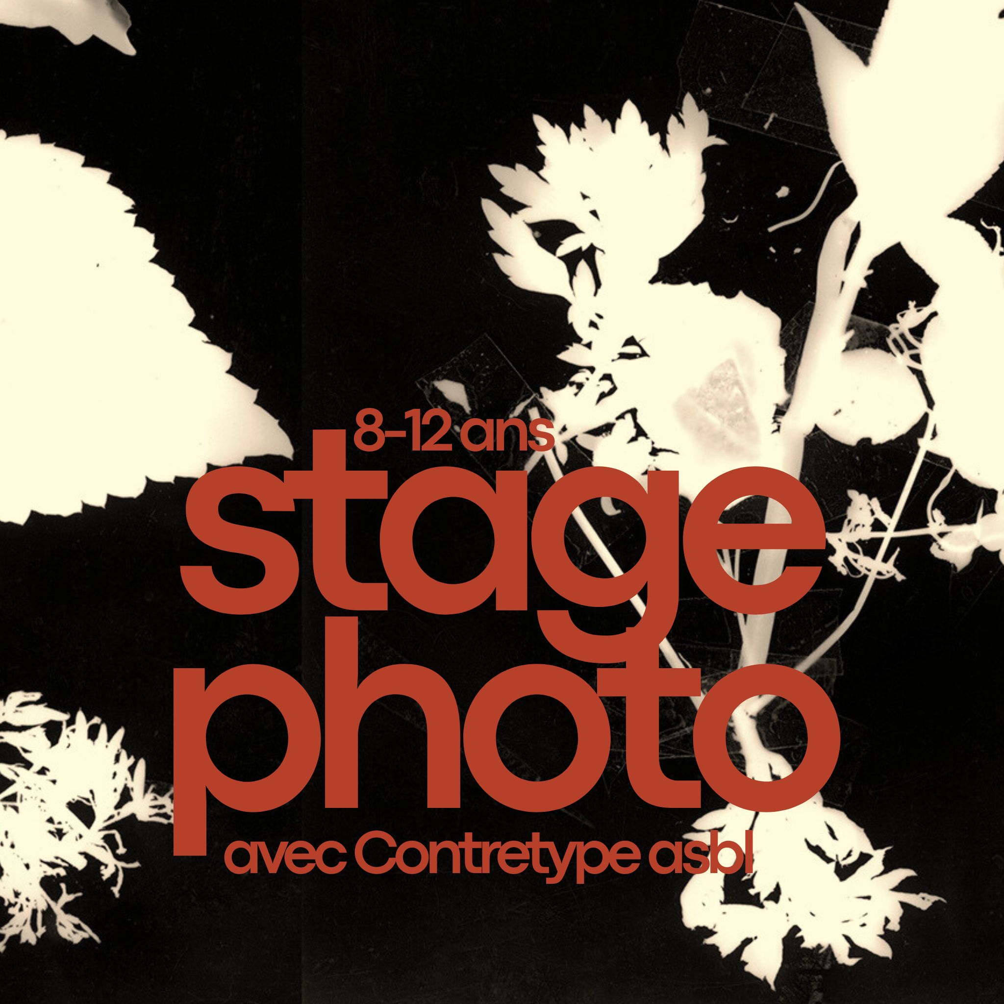 stage enfants photo